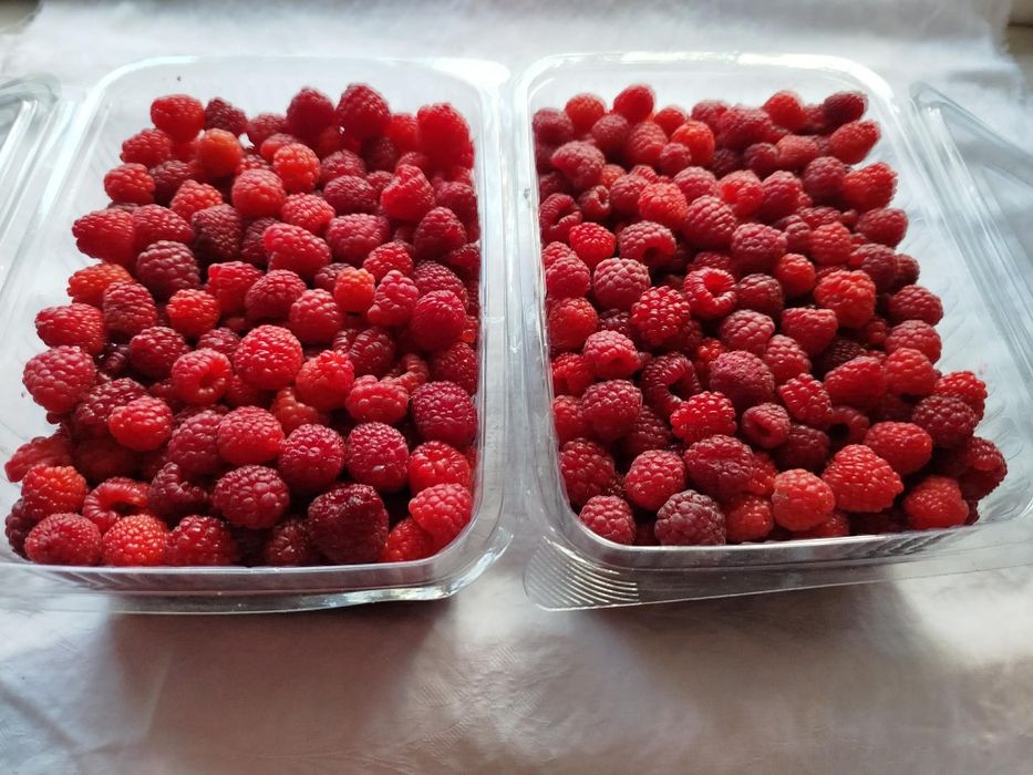 Mure și zmeură bio