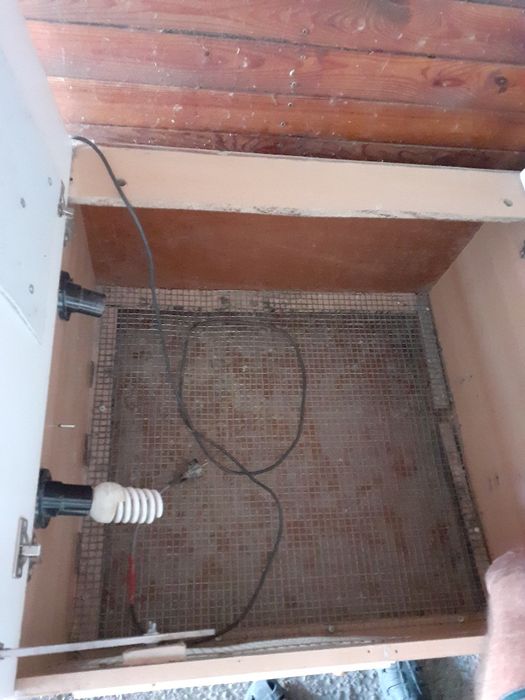 Продам   бруддер