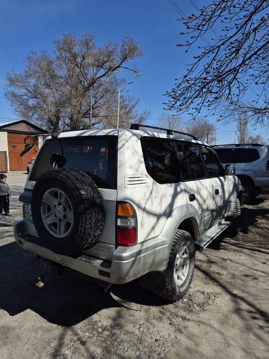 Прадо 95 prado tlcp