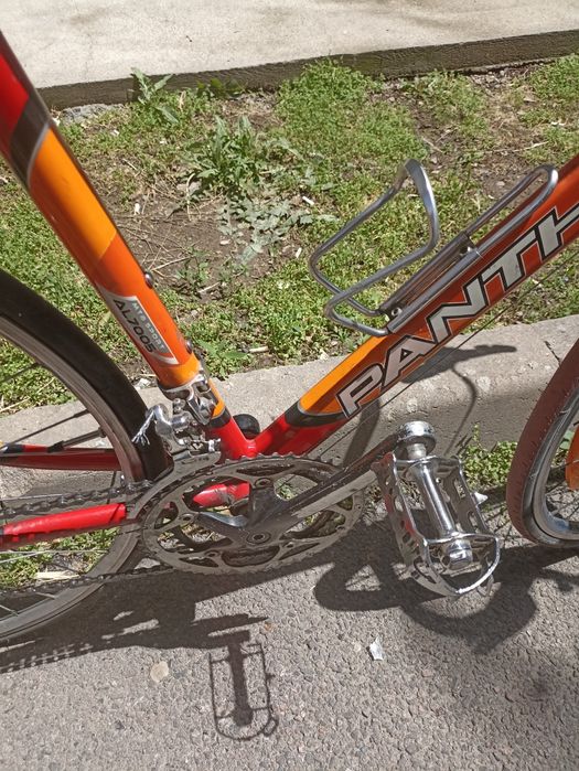 Panther Pro Race 6000 XL