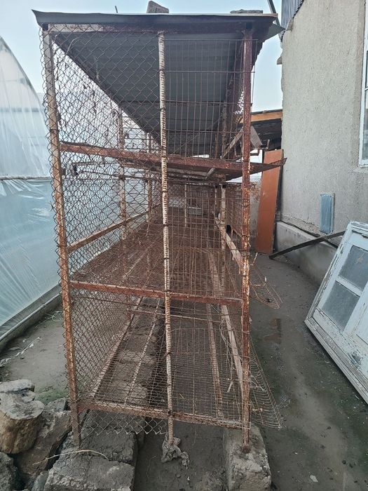 Товук катаклари сотилади нари 2500 дан