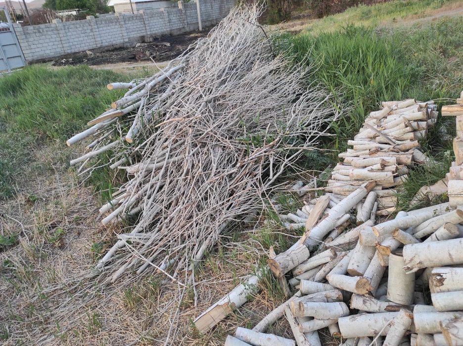 Дрова тополь, самовывоз