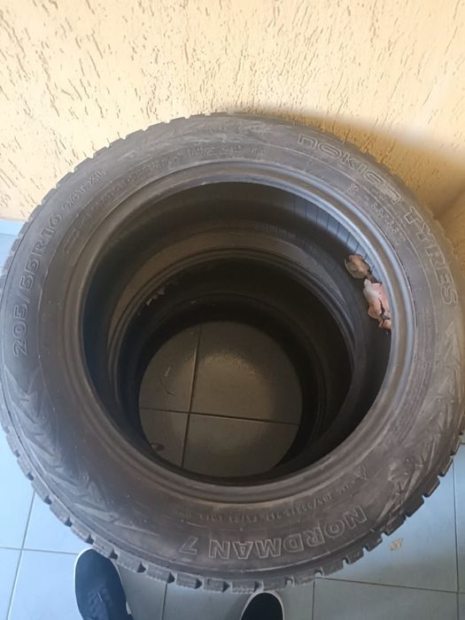 Шины зима R16 Nokian Nordman7