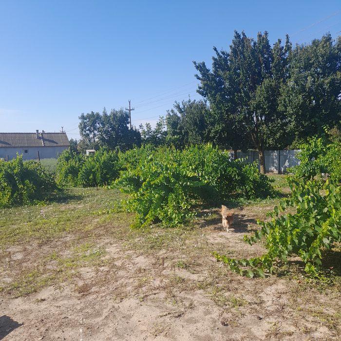 Casa de vanzare Sat Lunca, jud.Tulcea