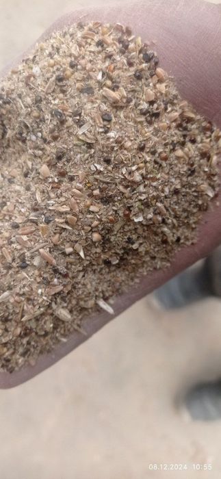 Bug'doy  sechka yemni udari