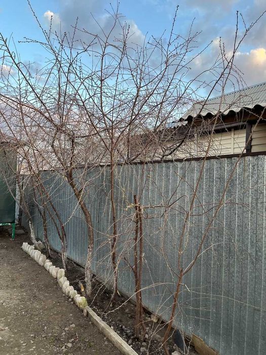 В продаже 1 этажный дом Район - Старой мечети.