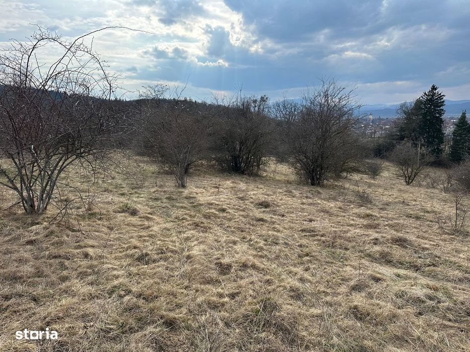 Teren extravilan pășune 6.000 mp – Cristian, Brașov