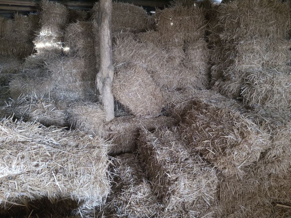 Somon pres sotiladi (boʻkada)