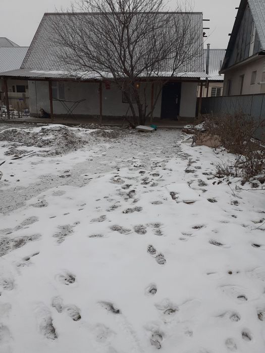 Продам дом.АЛАТАУСК  Р Н