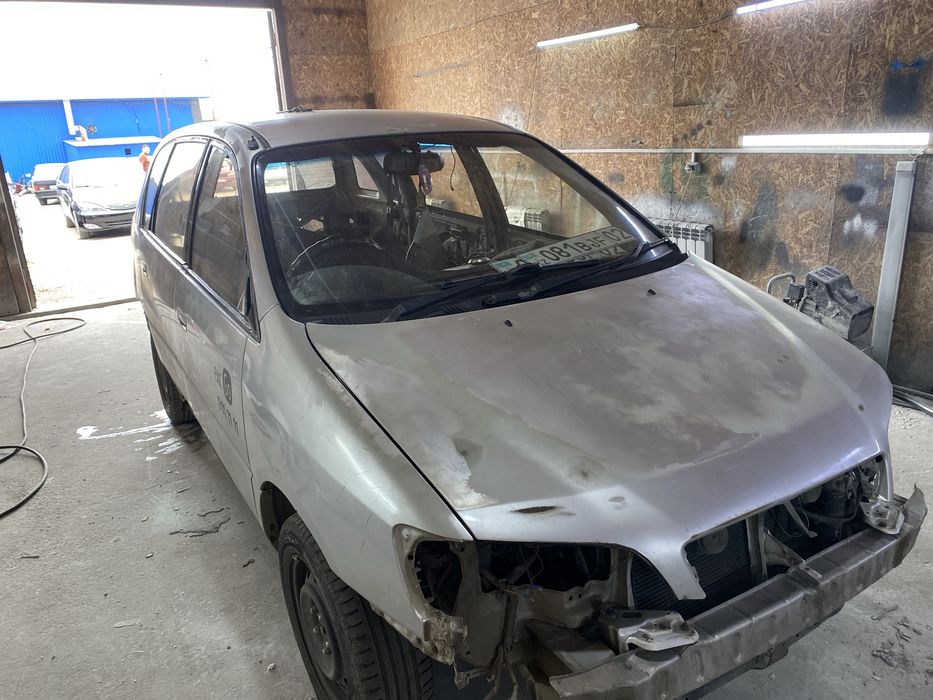 Костаправ Маляр Каскелен