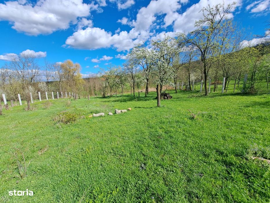Teren de vânzare 3600mp, cu proiect si autorizatie- Berghin- Straja