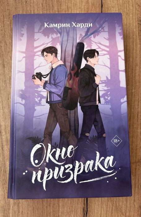 книга «окно призрака»