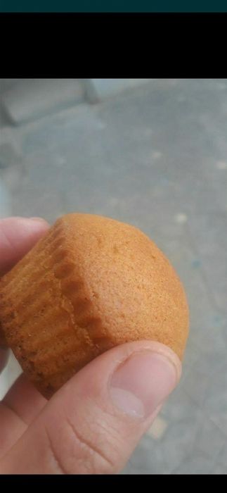 10800dan chiqadi kilos o'rgataman