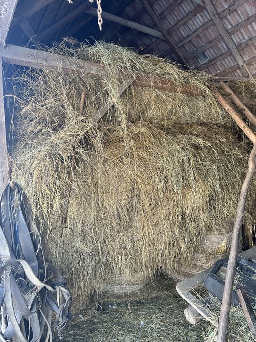 Vand fan uscat comuna Band