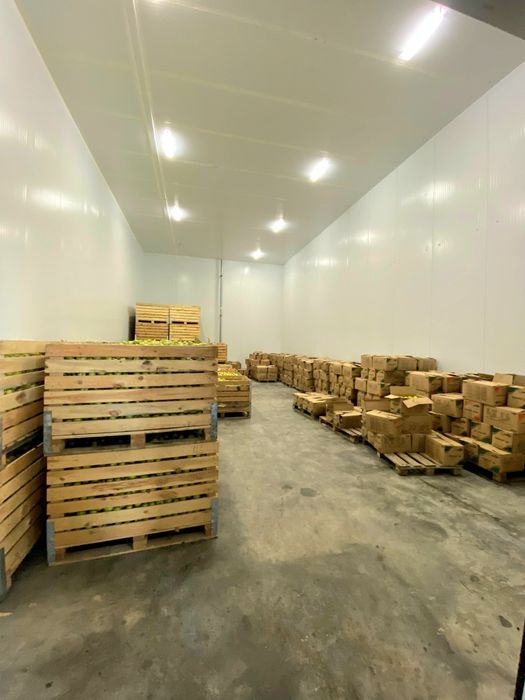 Фруктохранилище действующее.