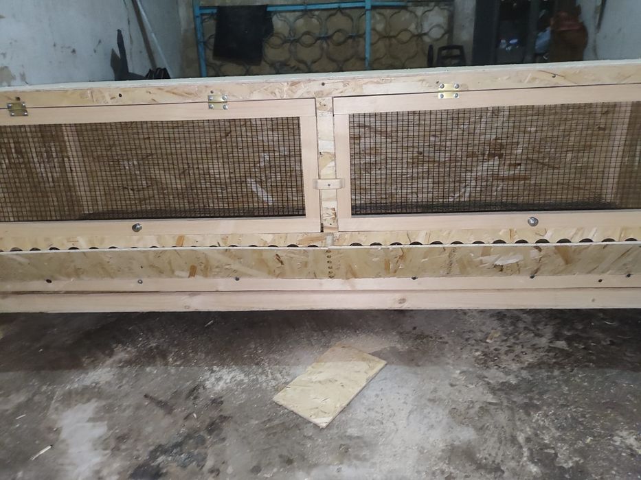 Брудер для цыплят