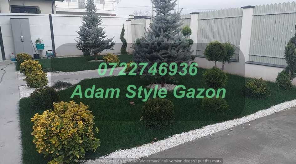 Gazon Profesional pentru Amenajări Premium