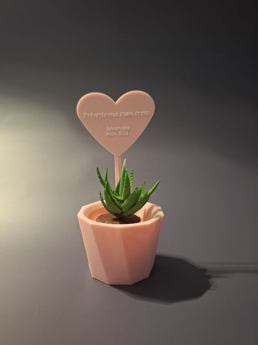Mărturii botez personalizate – ghiveci cu suculentă + mesaj gravat