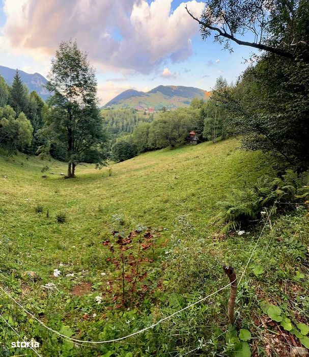 Teren investitie 8635 mp extravilan , Pestera Brasov