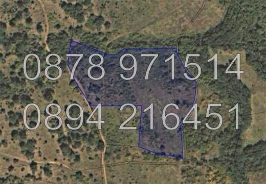 Продава се Земеделски имот в Брезово -  кв.м за 853 €/дка - Снимка #5