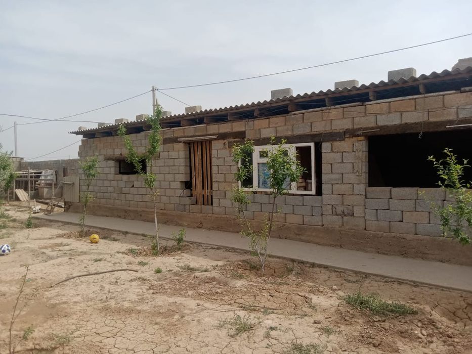 Город Арыс дачы огорот