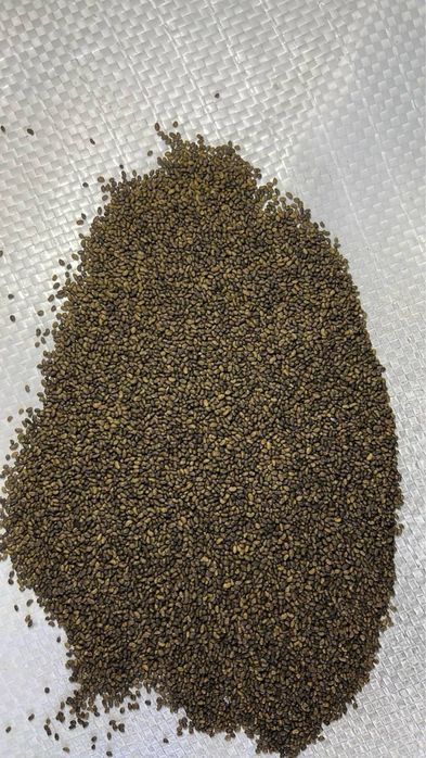 Семена люцерны жонышка тукым