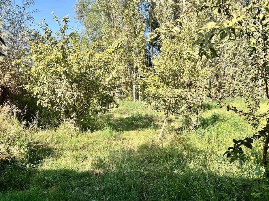 СРОЧНО!! Uy sotiladi Chinoz Paxta mosti M39 kotta yoldan 1 km kirganda