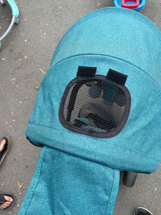 Триколка Byox