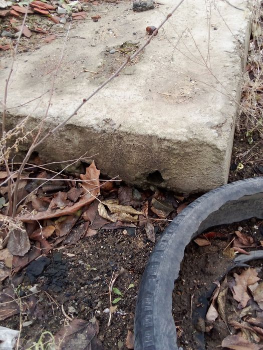 Фундаментные блоки и плита перекрытия