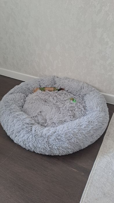 Лежанка для животного