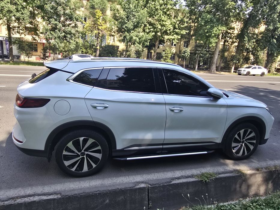 BYD CHEMPION full 150 tali