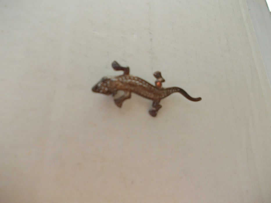 Brosa veche din argint salamandra