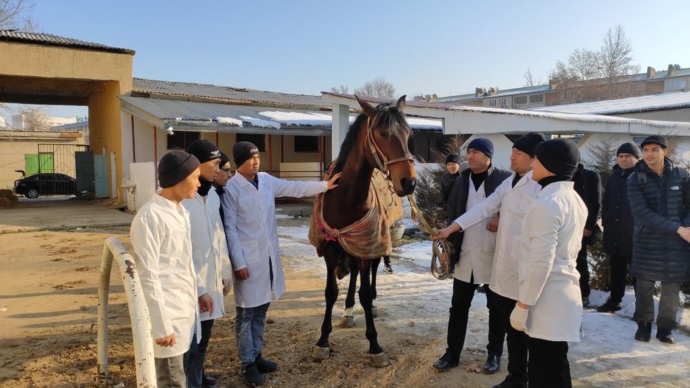 Veterinar vrach / Ветеринар врач/ Vet doctor