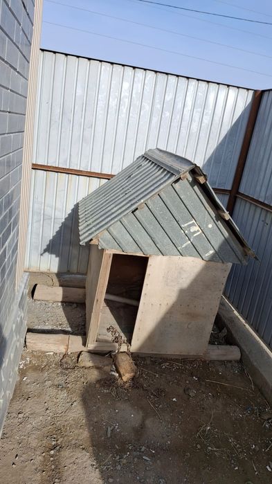 Иттің үйі сатылады. Жыллы, жайлы үй