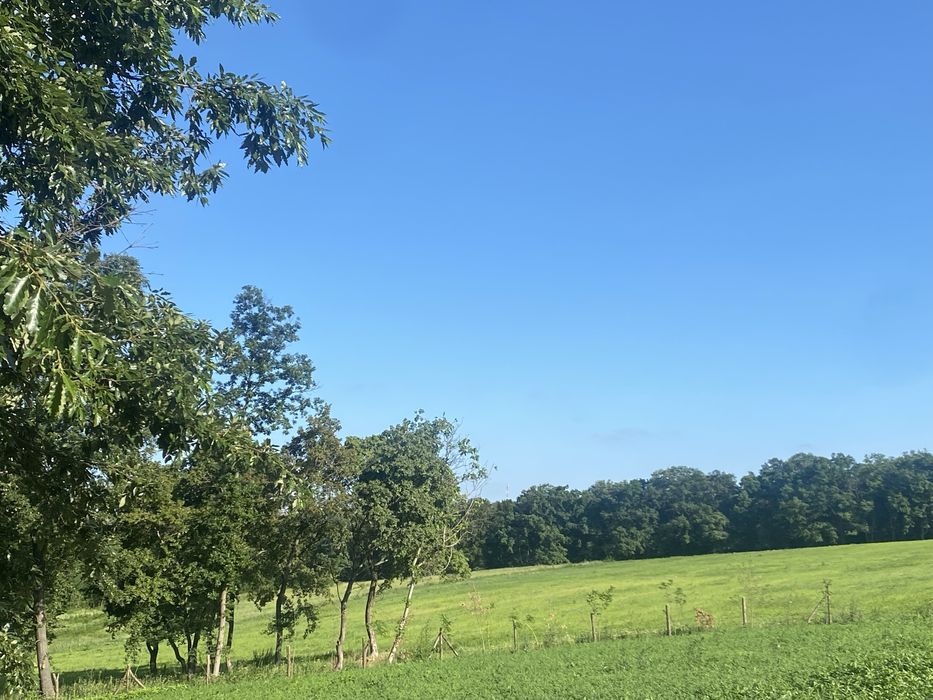 Vand sau schimb teren Paleu