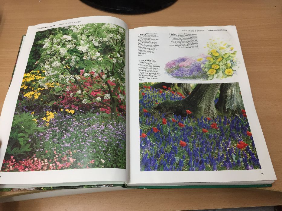 25Цветна Книга Енциклопедия - Colour Round The Year