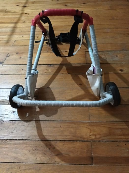 Cărucior câine handicapat/ paralizat