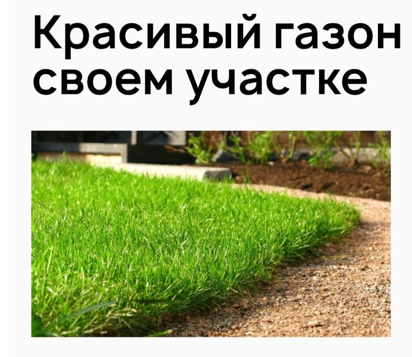 Газон саженцы автополив ландшафт дизайн газон рулонные