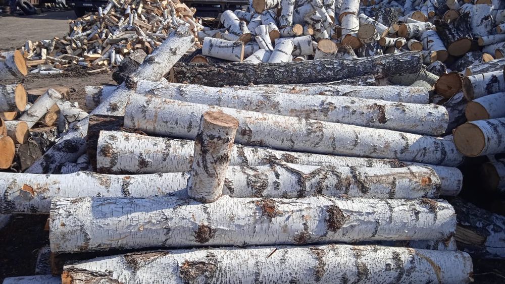 Астана: Дрова берёза, колотые чурки