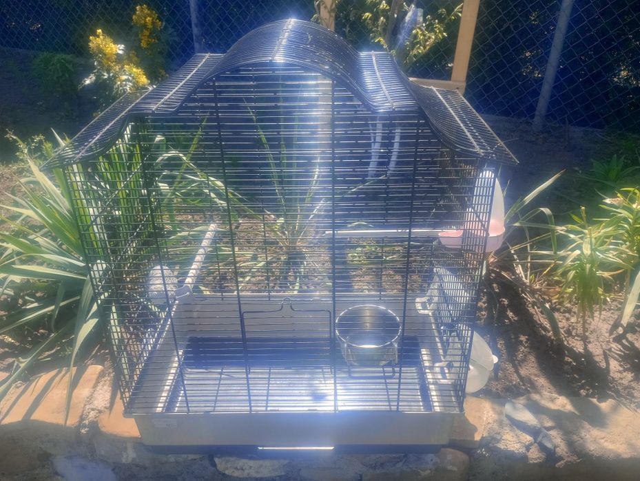 Coliviei pentru papagalii