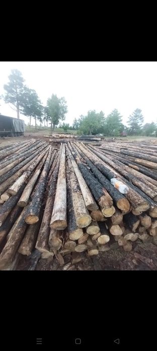 Жерди от 6 до 15 разнабой