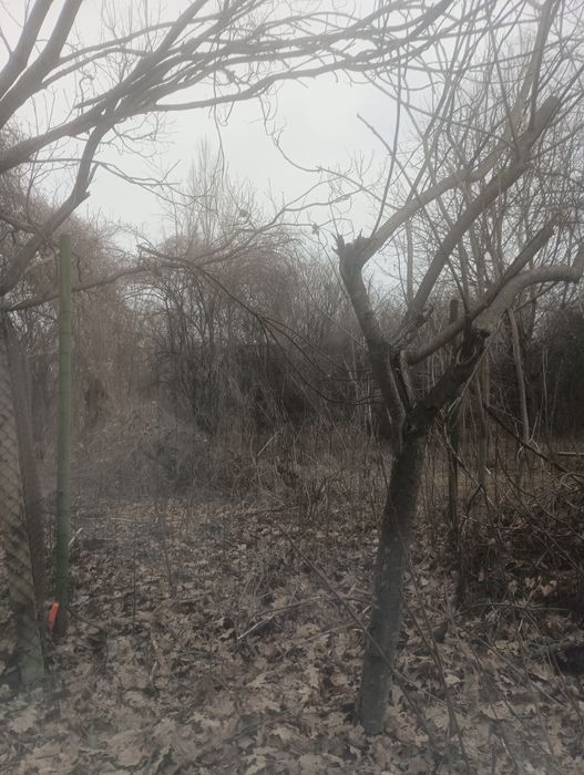 Почистване на парцели дворове и запустели имоти