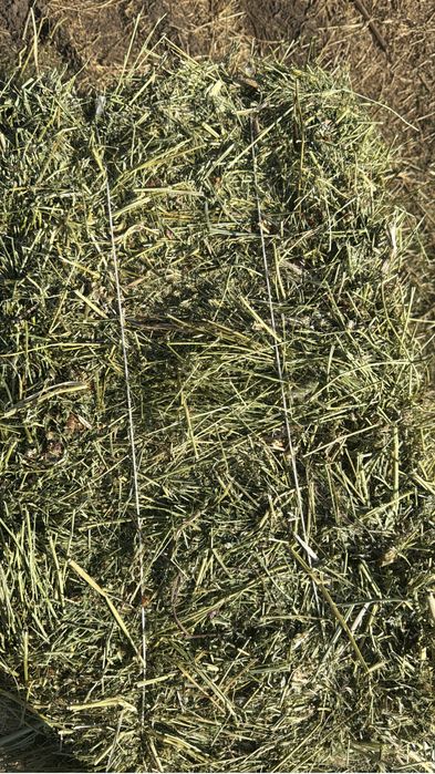 Жонышка доставкамен