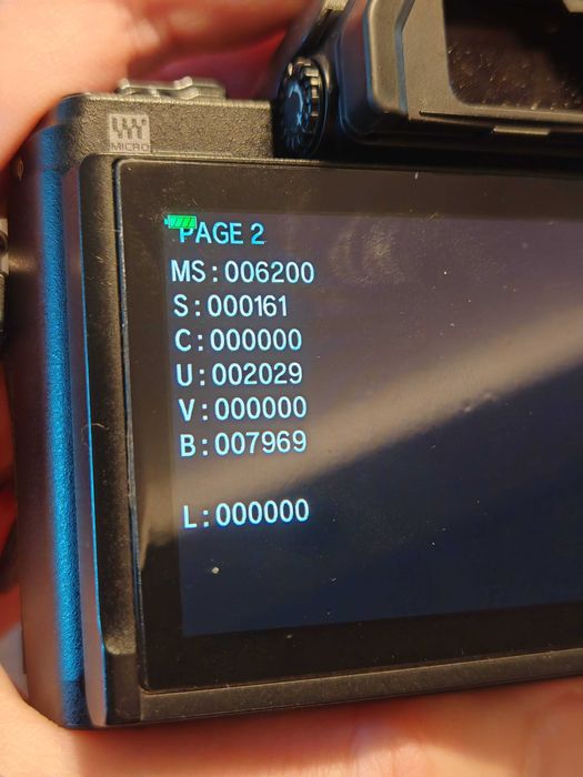 Olympus E-M10 Mark IV