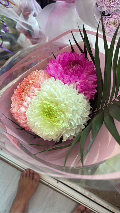 Продам цветы от 5-8 тысяч