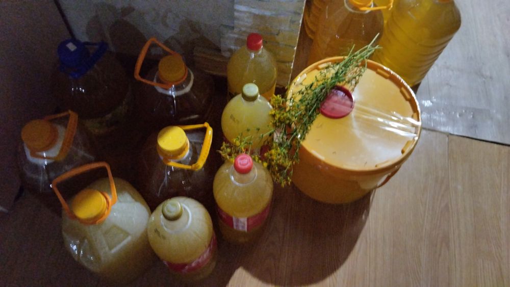 Лепсинксий мед 3500 за кг