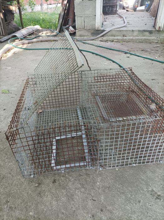 cuști pentru pasari