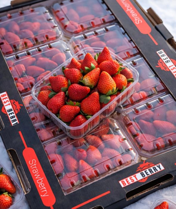 Клубника Египет.