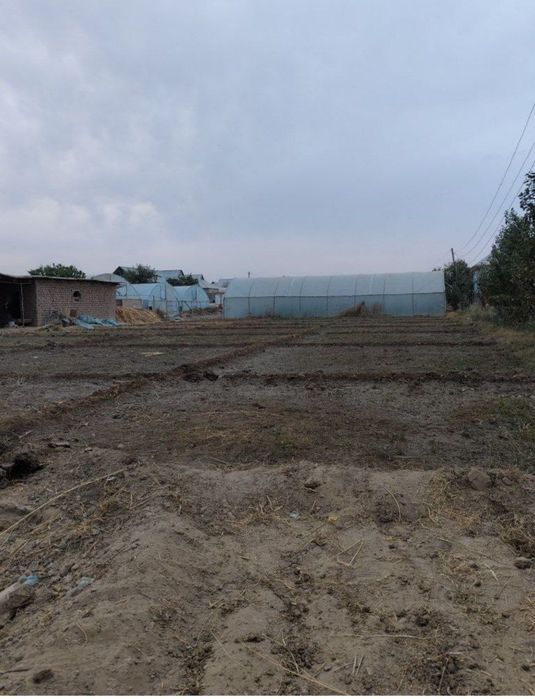 Hamma sharoiti bor Yer