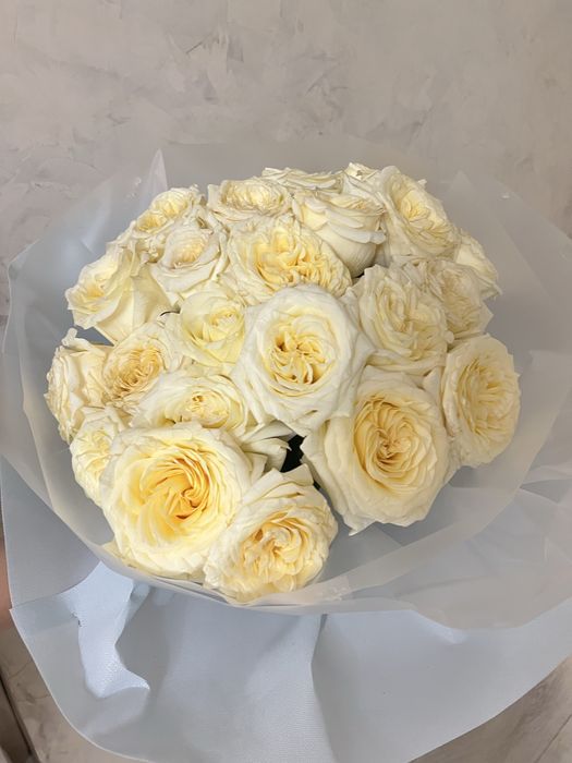 Срочно продам 25 роз